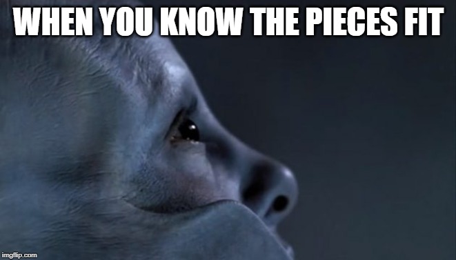 WHEN YOU KNOW THE PIECES FIT | image tagged in tool | made w/ Imgflip meme maker