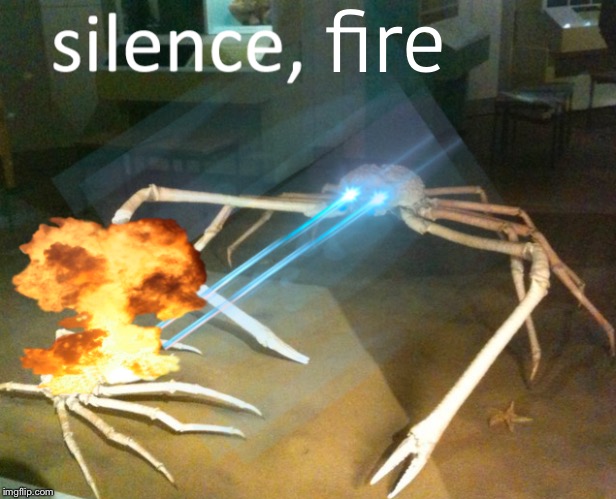 Silence Crab | fire | image tagged in silence crab | made w/ Imgflip meme maker