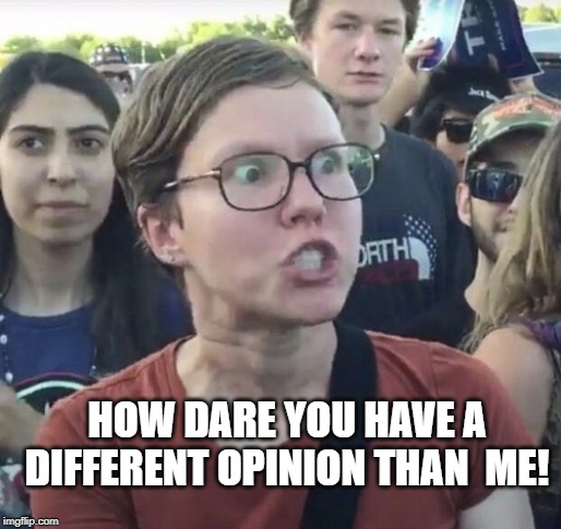 Triggered feminist | HOW DARE YOU HAVE A DIFFERENT OPINION THAN  ME! | image tagged in triggered feminist | made w/ Imgflip meme maker