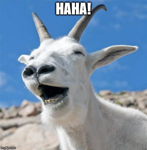 Laughing Goat Meme | HAHA! | image tagged in memes,laughing goat | made w/ Imgflip meme maker