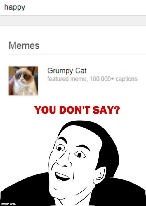 They need to rethink this... | image tagged in memes,grumpy cat,you don't say,happy,search | made w/ Imgflip meme maker