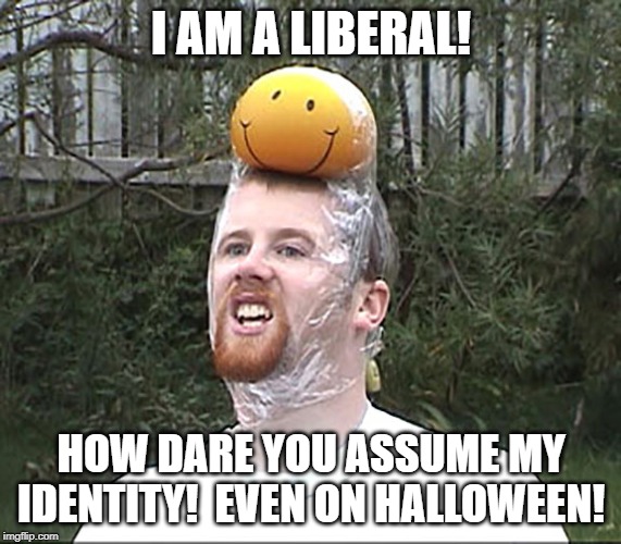 Halloween costume | I AM A LIBERAL! HOW DARE YOU ASSUME MY IDENTITY!  EVEN ON HALLOWEEN! | image tagged in halloween costume | made w/ Imgflip meme maker