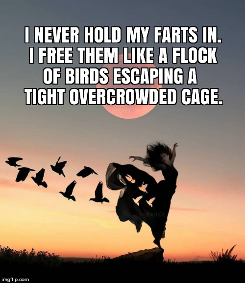 image tagged in farts,birds,freedom,free,flatulence,motivation | made w/ Imgflip meme maker