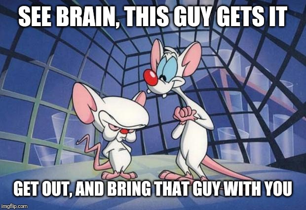 Pinky and the Brain | SEE BRAIN, THIS GUY GETS IT GET OUT, AND BRING THAT GUY WITH YOU | image tagged in pinky and the brain | made w/ Imgflip meme maker