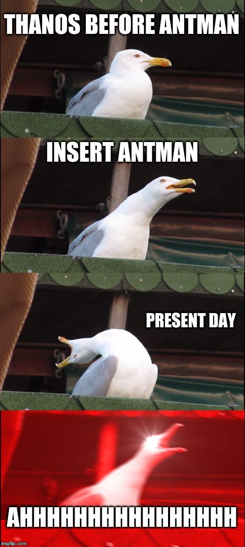 Inhaling Seagull | THANOS BEFORE ANTMAN; INSERT ANTMAN; PRESENT DAY; AHHHHHHHHHHHHHHHH | image tagged in memes,inhaling seagull | made w/ Imgflip meme maker