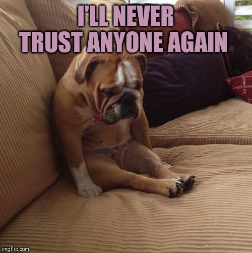 bulldogsad | I'LL NEVER TRUST ANYONE AGAIN | image tagged in bulldogsad | made w/ Imgflip meme maker