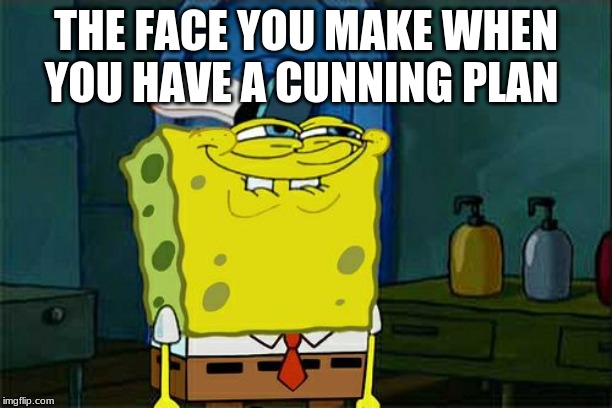 funny | THE FACE YOU MAKE WHEN YOU HAVE A CUNNING PLAN | image tagged in memes,funny memes | made w/ Imgflip meme maker