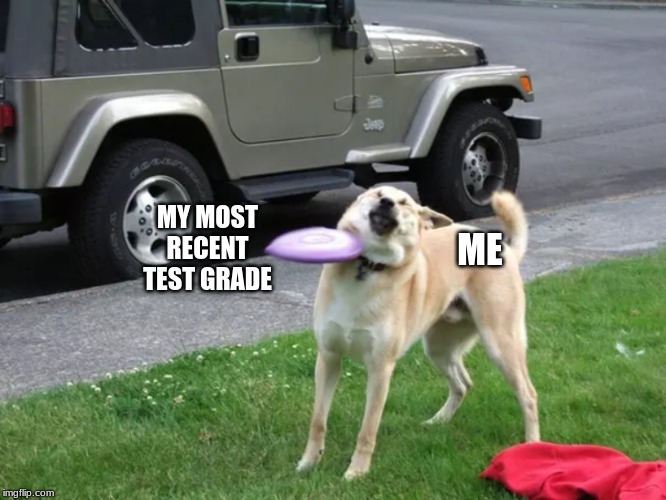 Fear the Frisbee | MY MOST RECENT TEST GRADE; ME | image tagged in fear the frisbee,dogs,dog,funny,doge | made w/ Imgflip meme maker