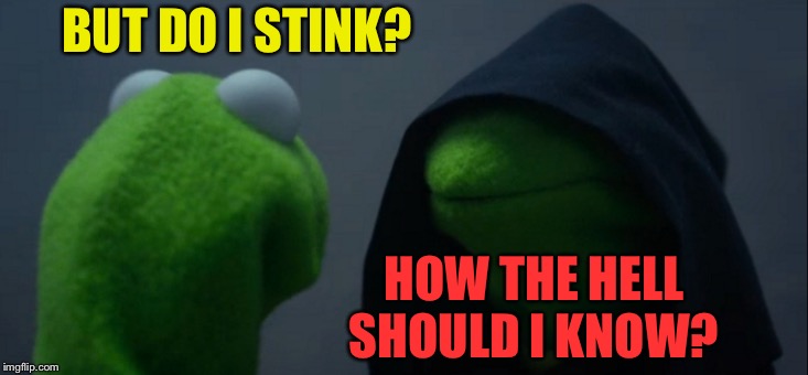 Evil Kermit Meme | BUT DO I STINK? HOW THE HELL SHOULD I KNOW? | image tagged in memes,evil kermit | made w/ Imgflip meme maker