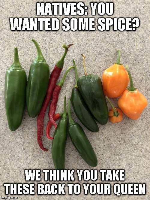 Hot Peppers | NATIVES: YOU WANTED SOME SPICE? WE THINK YOU TAKE THESE BACK TO YOUR QUEEN | image tagged in hot peppers | made w/ Imgflip meme maker