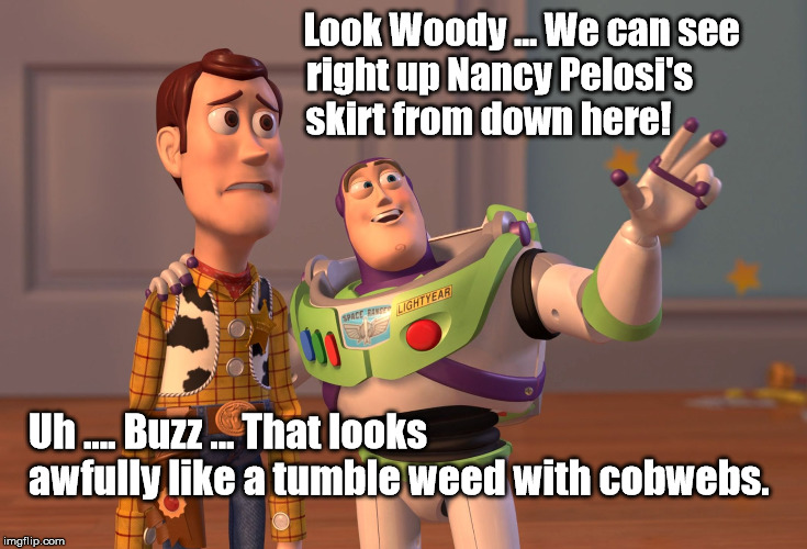 X, X Everywhere | Look Woody ... We can see
                           right up Nancy Pelosi's 
                       skirt from down here! Uh .... Buzz ... That looks awfully like a tumble weed with cobwebs. | image tagged in memes,x x everywhere | made w/ Imgflip meme maker