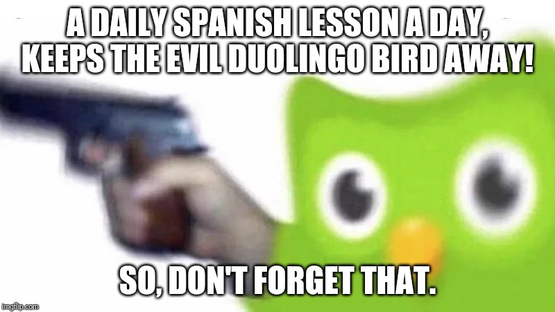duolingo gun |  A DAILY SPANISH LESSON A DAY, KEEPS THE EVIL DUOLINGO BIRD AWAY! SO, DON'T FORGET THAT. | image tagged in duolingo gun | made w/ Imgflip meme maker