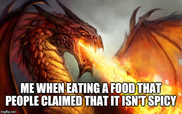 Fire breathing dragon  | ME WHEN EATING A FOOD THAT PEOPLE CLAIMED THAT IT ISN'T SPICY | image tagged in fire breathing dragon | made w/ Imgflip meme maker
