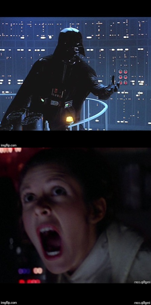 Star Wars Leia no Blank Meme Template