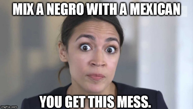 nignog Blank Meme Template