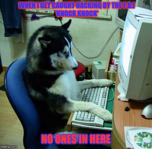 I Have No Idea What I Am Doing Meme | WHEN I GET CAUGHT HACKING BY THE F.B.I
'KNOCK KNOCK'; NO ONES IN HERE | image tagged in memes,i have no idea what i am doing | made w/ Imgflip meme maker
