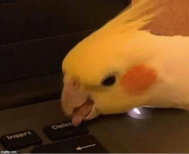 Delete Parrot | image tagged in delete parrot | made w/ Imgflip meme maker