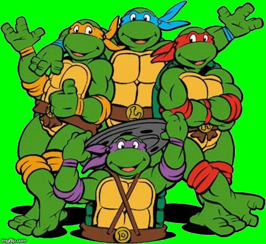 Ninja Turtles | image tagged in ninja turtles | made w/ Imgflip meme maker