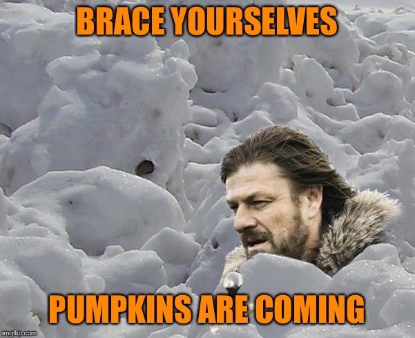Brace Yourselves Avalanche | BRACE YOURSELVES PUMPKINS ARE COMING | image tagged in brace yourselves avalanche | made w/ Imgflip meme maker