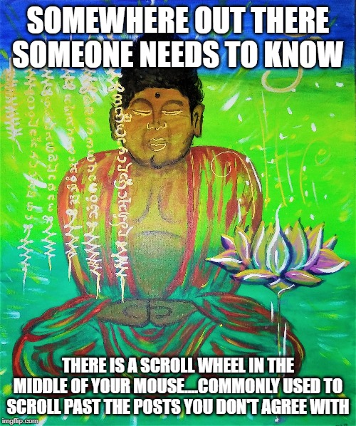 Buddah | SOMEWHERE OUT THERE SOMEONE NEEDS TO KNOW; THERE IS A SCROLL WHEEL IN THE MIDDLE OF YOUR MOUSE....COMMONLY USED TO SCROLL PAST THE POSTS YOU DON'T AGREE WITH | image tagged in buddah | made w/ Imgflip meme maker