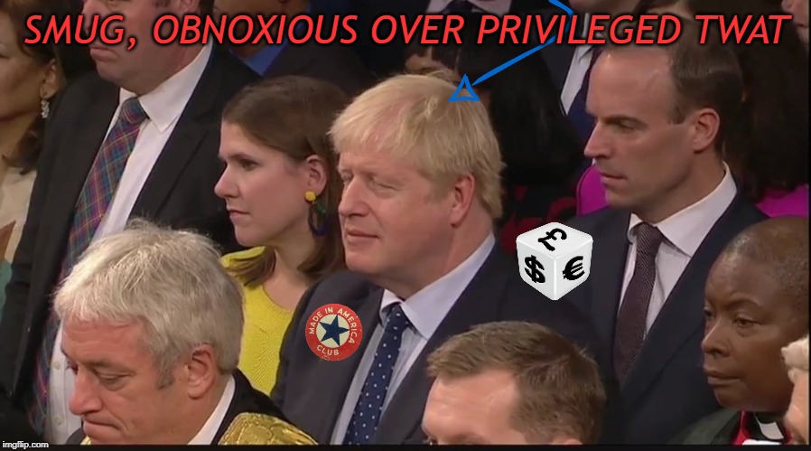 SMUG TORY TWAT | SMUG, OBNOXIOUS OVER PRIVILEGED TWAT | image tagged in smug tory twat | made w/ Imgflip meme maker