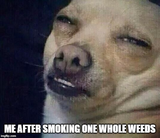 Too Dank |  ME AFTER SMOKING ONE WHOLE WEEDS | image tagged in too dank,weed,moke wade | made w/ Imgflip meme maker