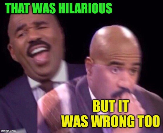 Steve Harvey Laughing Serious | THAT WAS HILARIOUS BUT IT WAS WRONG TOO | image tagged in steve harvey laughing serious | made w/ Imgflip meme maker