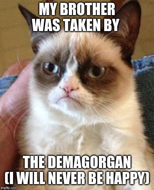 Grumpy Cat Meme | MY BROTHER WAS TAKEN BY; THE DEMAGORGAN
(I WILL NEVER BE HAPPY) | image tagged in memes,grumpy cat | made w/ Imgflip meme maker