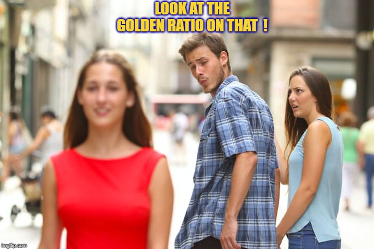 Distracted Boyfriend Meme | LOOK AT THE GOLDEN RATIO ON THAT  ! | image tagged in memes,distracted boyfriend | made w/ Imgflip meme maker