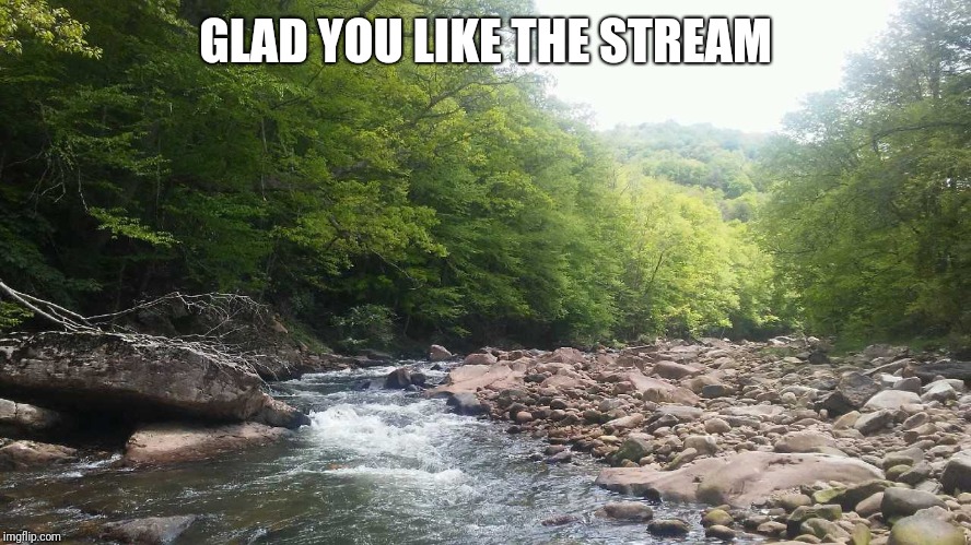 WV Mountain Stream | GLAD YOU LIKE THE STREAM | image tagged in wv mountain stream | made w/ Imgflip meme maker