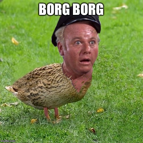 Skipper Duck | BORG BORG | image tagged in skipper duck | made w/ Imgflip meme maker