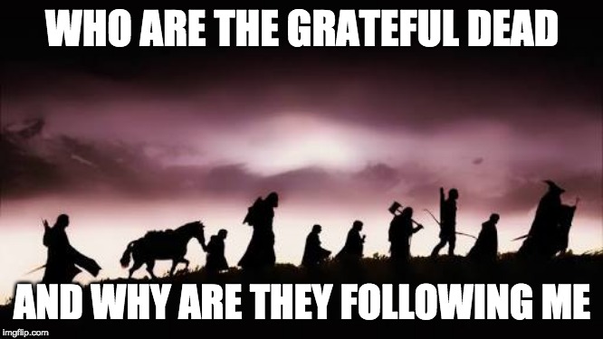 Lord of The Rings | WHO ARE THE GRATEFUL DEAD; AND WHY ARE THEY FOLLOWING ME | image tagged in lord of the rings | made w/ Imgflip meme maker