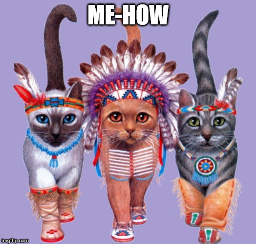 ME-HOW | image tagged in indian,cats | made w/ Imgflip meme maker