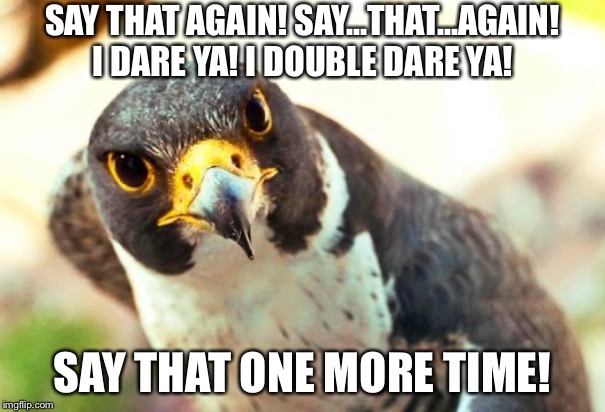 Pulp Fiction Falcon | SAY THAT AGAIN! SAY...THAT...AGAIN! I DARE YA! I DOUBLE DARE YA! SAY THAT ONE MORE TIME! | image tagged in irate falcon,memes,angry bird,pulp fiction,say it one more time,i dare you | made w/ Imgflip meme maker