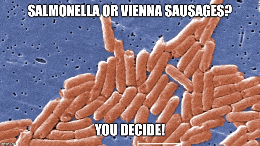 Food poisoning, either way. | SALMONELLA OR VIENNA SAUSAGES? YOU DECIDE! | image tagged in salmonella,vienna sausages | made w/ Imgflip meme maker