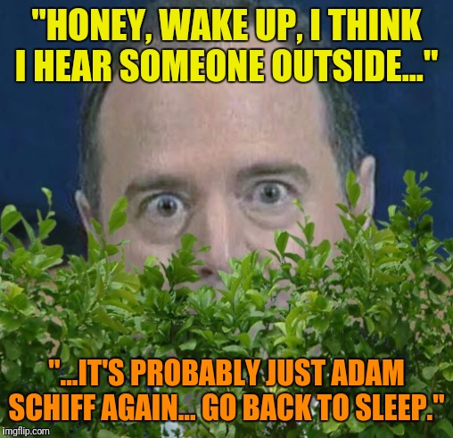 Lock your doors. | "HONEY, WAKE UP, I THINK I HEAR SOMEONE OUTSIDE..."; "...IT'S PROBABLY JUST ADAM SCHIFF AGAIN... GO BACK TO SLEEP." | image tagged in adam schiff,creepy guy | made w/ Imgflip meme maker