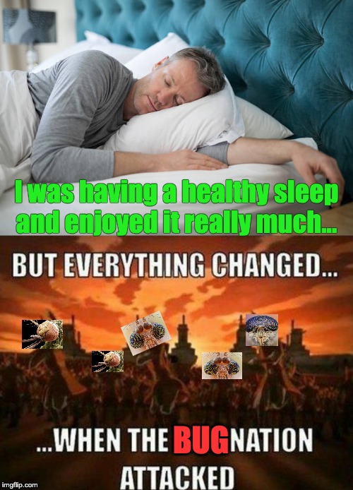 Freakin bugs | I was having a healthy sleep and enjoyed it really much... BUG | image tagged in mosquito attack,bugs,memes,so true memes,avatar the last airbender | made w/ Imgflip meme maker
