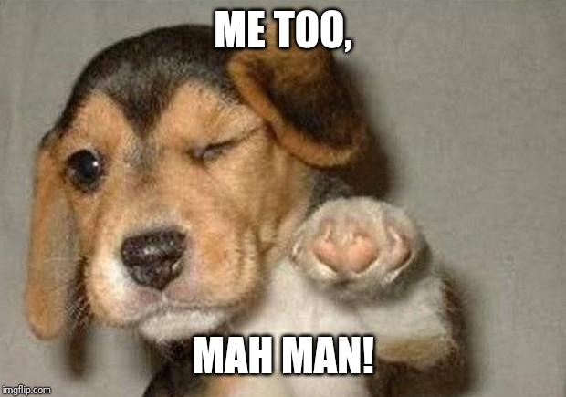 Winking Dog | ME TOO, MAH MAN! | image tagged in winking dog | made w/ Imgflip meme maker