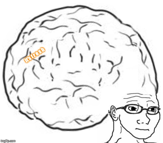 Big Brain | it's f r e s h | image tagged in big brain | made w/ Imgflip meme maker