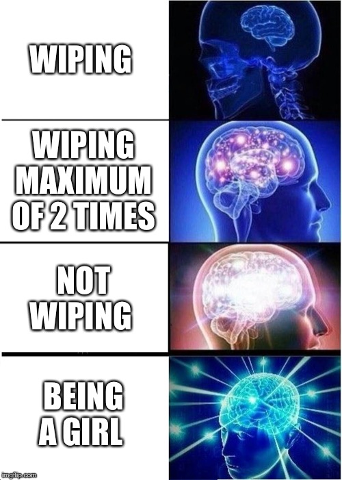 Expanding Brain | WIPING; WIPING MAXIMUM OF 2 TIMES; NOT WIPING; BEING A GIRL | image tagged in memes,expanding brain | made w/ Imgflip meme maker