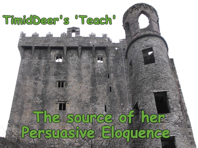 That explains it, all this Pòg mo thòin stuff. These Blarney types have you kissing anything... | TimidDeer's 'Teach'; The source of her Persuasive Eloquence | image tagged in timiddeer,irish,blarney | made w/ Imgflip meme maker