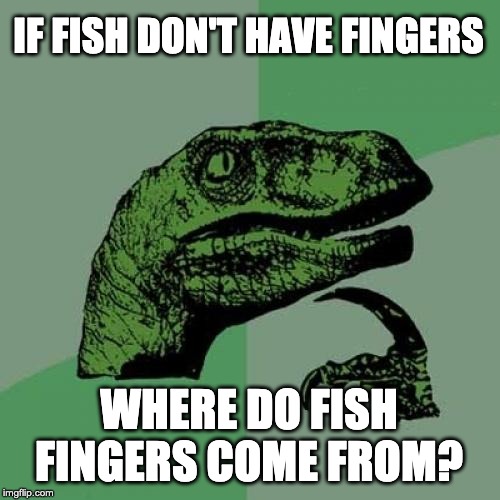 Philosoraptor Meme | IF FISH DON'T HAVE FINGERS; WHERE DO FISH FINGERS COME FROM? | image tagged in memes,philosoraptor | made w/ Imgflip meme maker