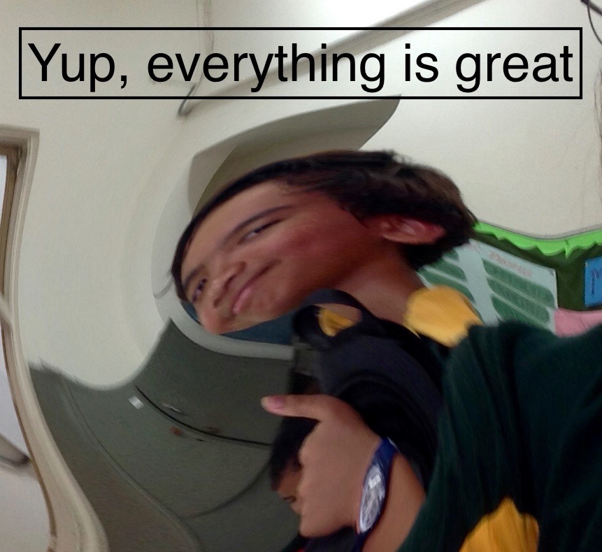 Everything is great Blank Meme Template