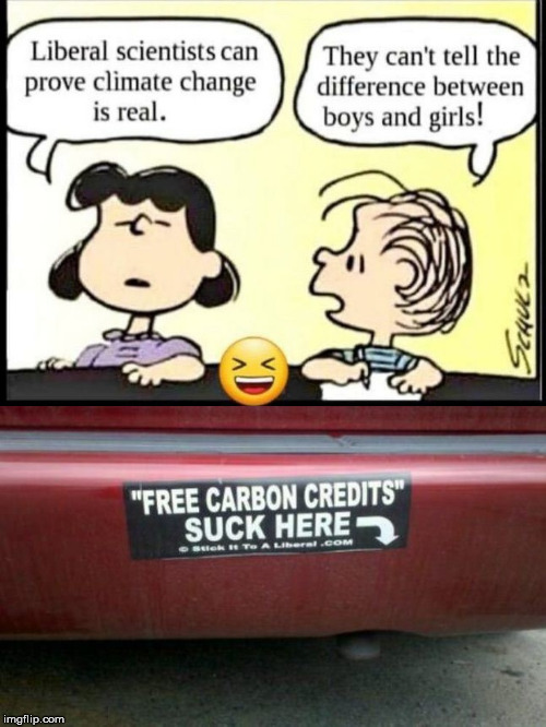 GotYourCarbonCreditsRightHere | image tagged in climate change,politics suck | made w/ Imgflip meme maker