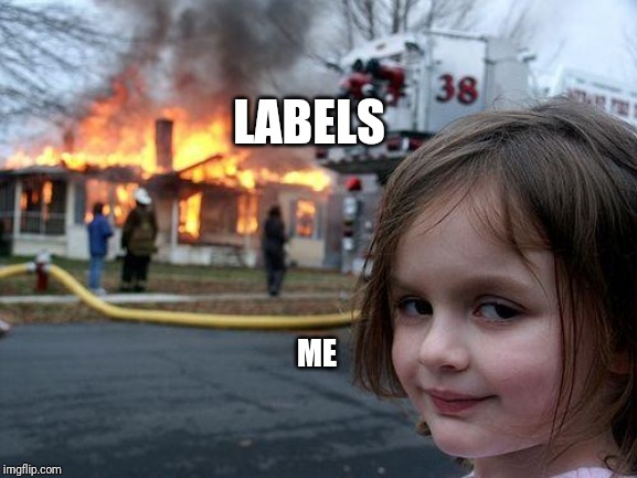 Disaster Girl | LABELS; ME | image tagged in memes,disaster girl | made w/ Imgflip meme maker