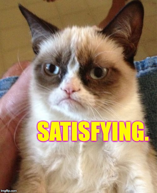 Grumpy Cat Meme | SATISFYING. | image tagged in memes,grumpy cat | made w/ Imgflip meme maker