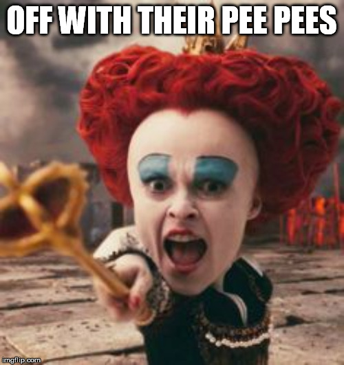 Off with their internet | OFF WITH THEIR PEE PEES | image tagged in off with their internet | made w/ Imgflip meme maker