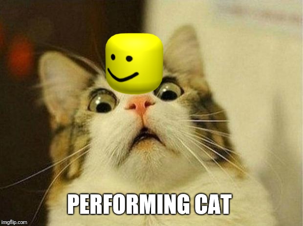 Performing Cat | PERFORMING CAT | image tagged in memes,scared cat | made w/ Imgflip meme maker
