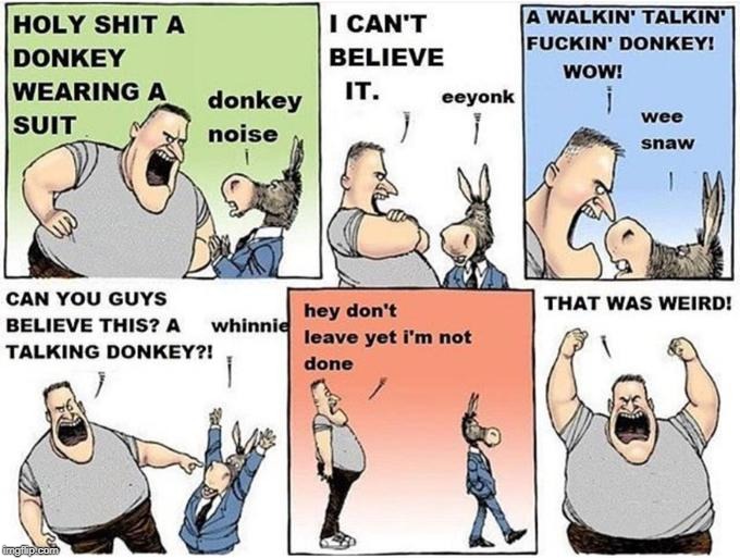 I Don't Want To Want To Get Political Or Anything, BUT IS THAT A TALKING DONKEY! | image tagged in funny,politics,i don't want to get political or anything,donkey,talking,political cartoon | made w/ Imgflip meme maker