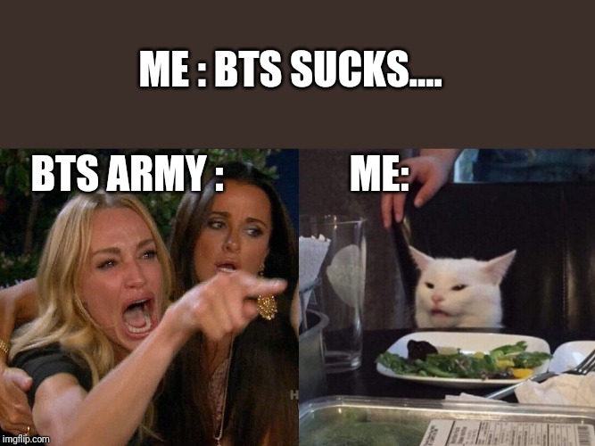 Woman yelling at cat | ME : BTS SUCKS.... BTS ARMY :; ME: | image tagged in woman yelling at cat | made w/ Imgflip meme maker